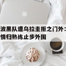 爱游戏-波黑队遭乌拉圭拒之门外：情归熟练止步外围()