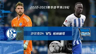 爱游戏体育-柏林赫塔客场失利，德甲前景堪忧()  第2张